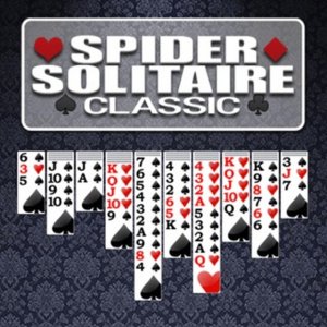 Patience Spider Solitaire Challenge
