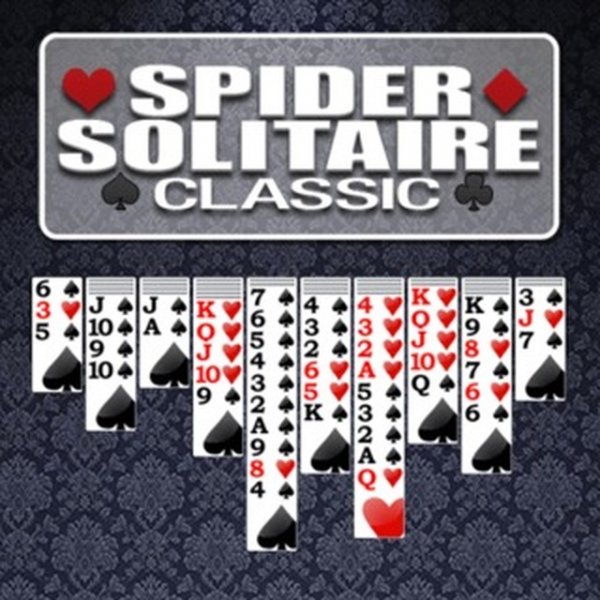 Patience Spider Solitaire Challenge