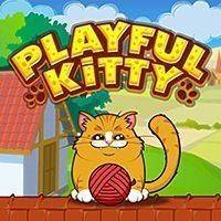 Playful Kitty Online Puzzle Game - Physics Puzzle Game