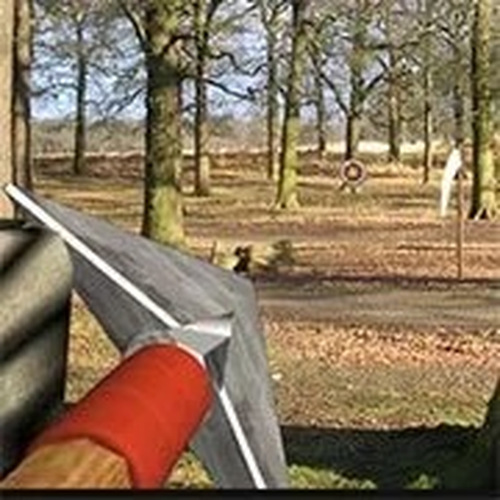 Precision Bow Target Practice