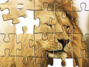 Lion King Jigsaw Puzzles