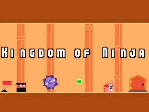 Kingdom of Ninja Online Game