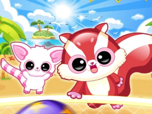 Racoon Headball Beach Sports Game