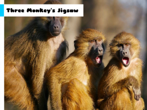 Three Monkey's Jigsaw Puzzle Game