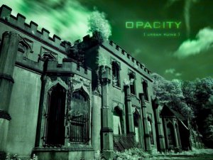 Beauty Urban Decay Slide Puzzle Game