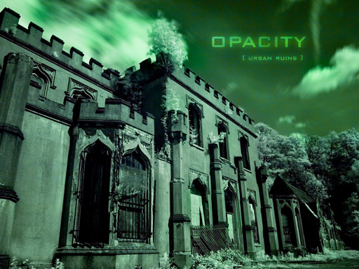 Beauty Urban Decay Slide Puzzle Game