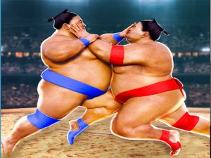 Sumo Online Game