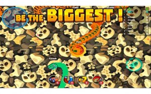 Angry Snake Arcade Game Online