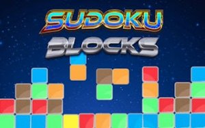 Sudoku Number Grid Puzzle